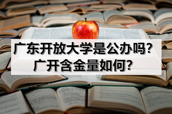 广东开放大学是公办吗