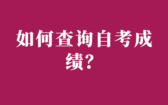 如何查询自考成绩？