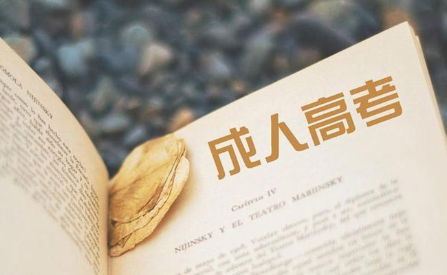 本科生可以报考成人本科吗