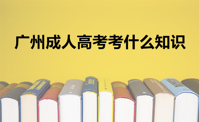 广州成人高考考什么知识