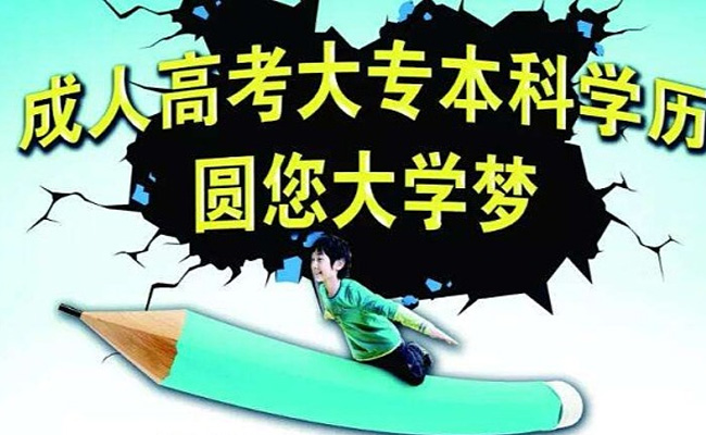 本科生可以参加成人高考吗