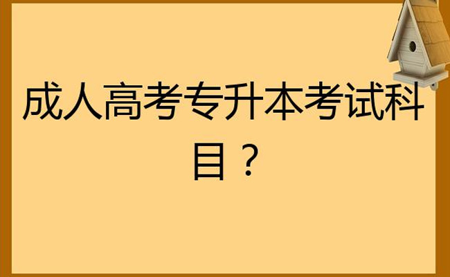 广东省成人高考本科考试科目难不难
