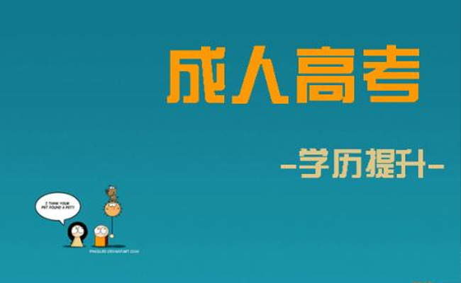 40岁成人高考什么专业好