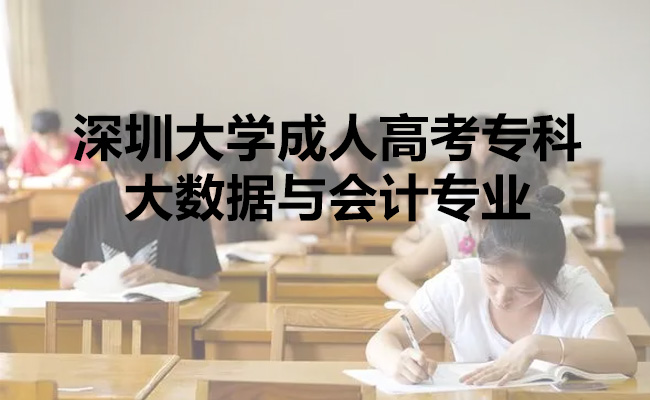大数据与会计专业