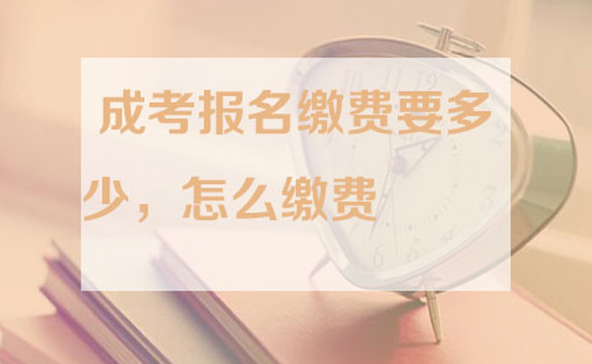 成人自考报名多少钱