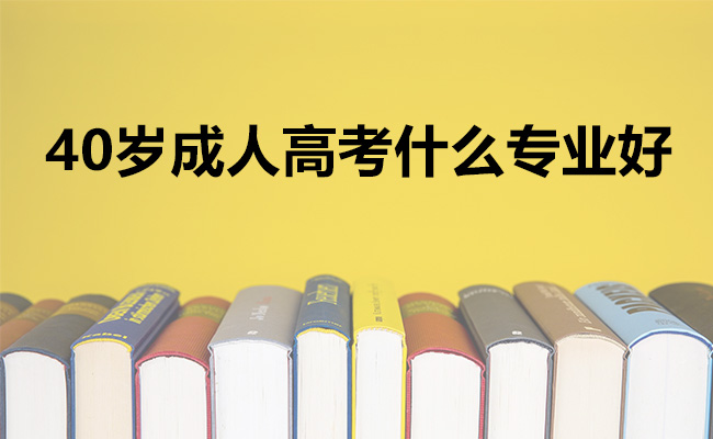 40岁成人高考什么专业好