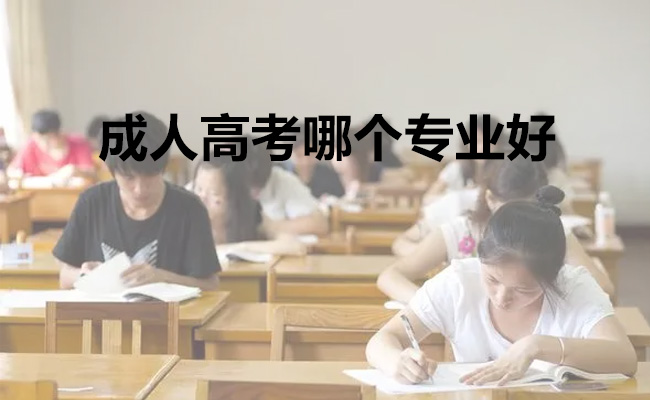 成人高考哪个专业好