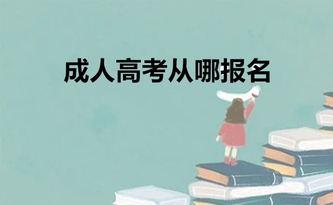 成人高考从哪报名