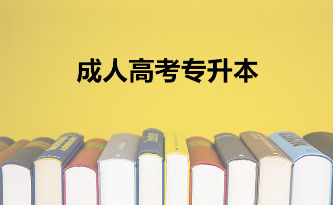 成人高考专升本