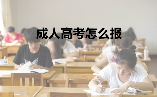 成人高考怎么报