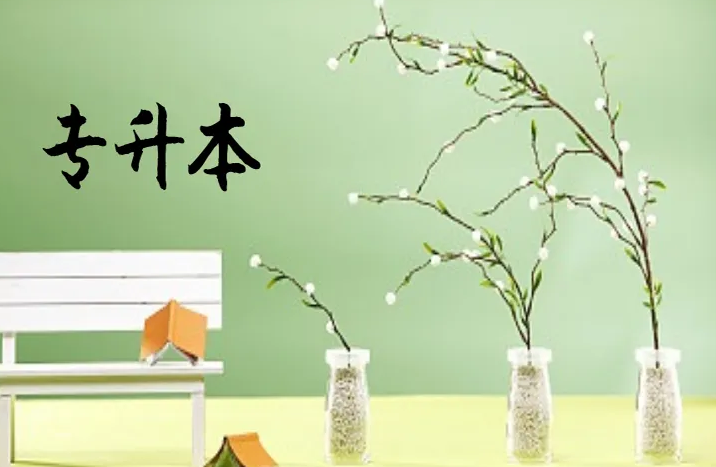 成人本科