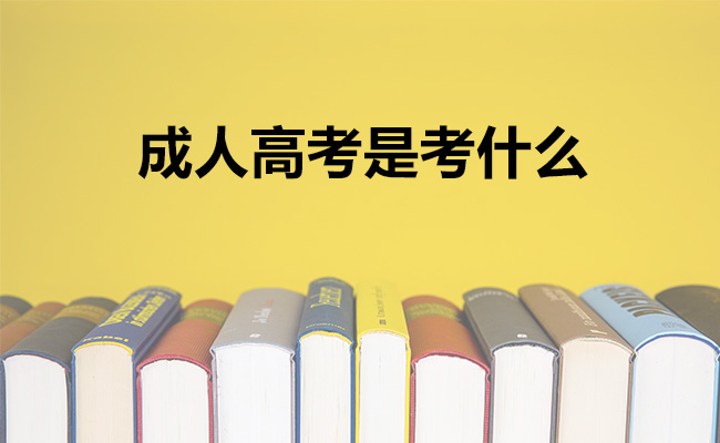 成人高考是考什么