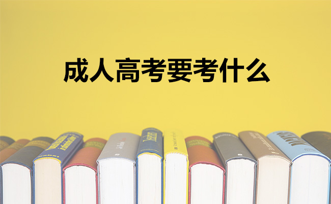 成人高考要考什么
