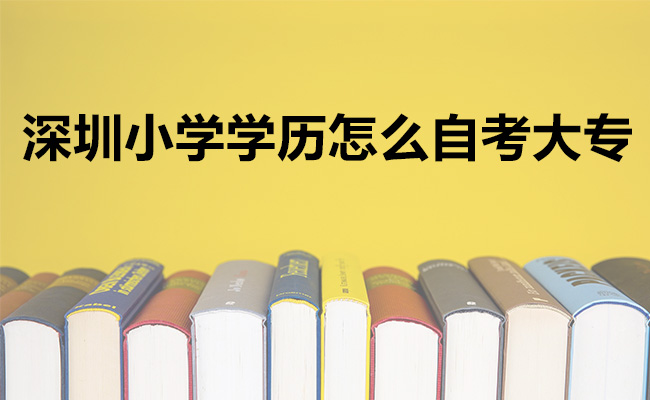 深圳小学学历怎么自考大专