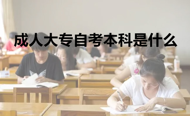 成人大专自考本科是什么