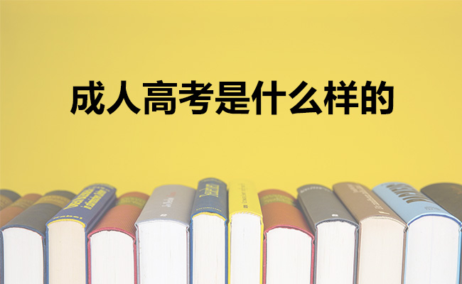 成人高考是什么样的