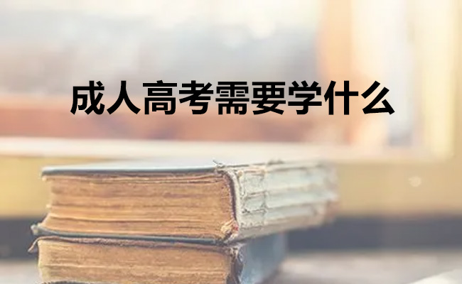 成人高考需要学什么