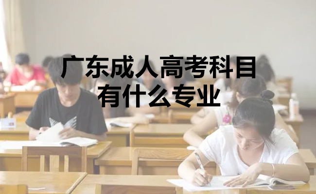 广东成人高考科目有什么专业