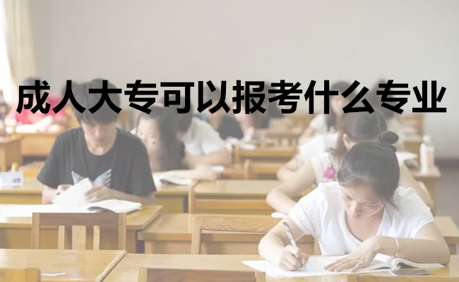 成人大专可以报考什么专业
