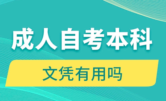自考本科是什么意思