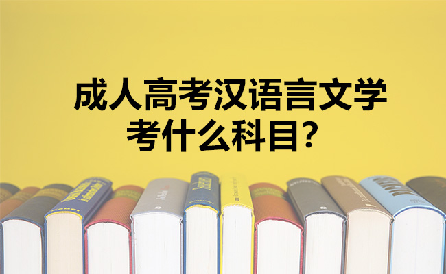 成人高考汉语言文学考什么科目