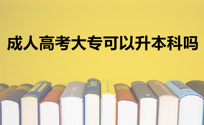 成人高考大专可以升本科吗