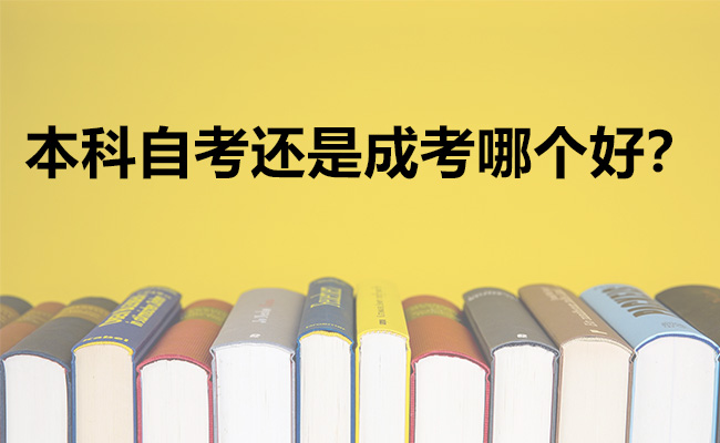 本科自考还是成考哪个好